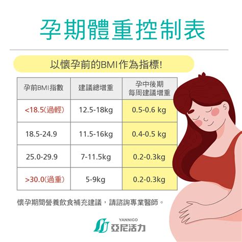 懷孕方法|想懷孕，備孕期如何增加懷孕機率？教您助孕10種方法